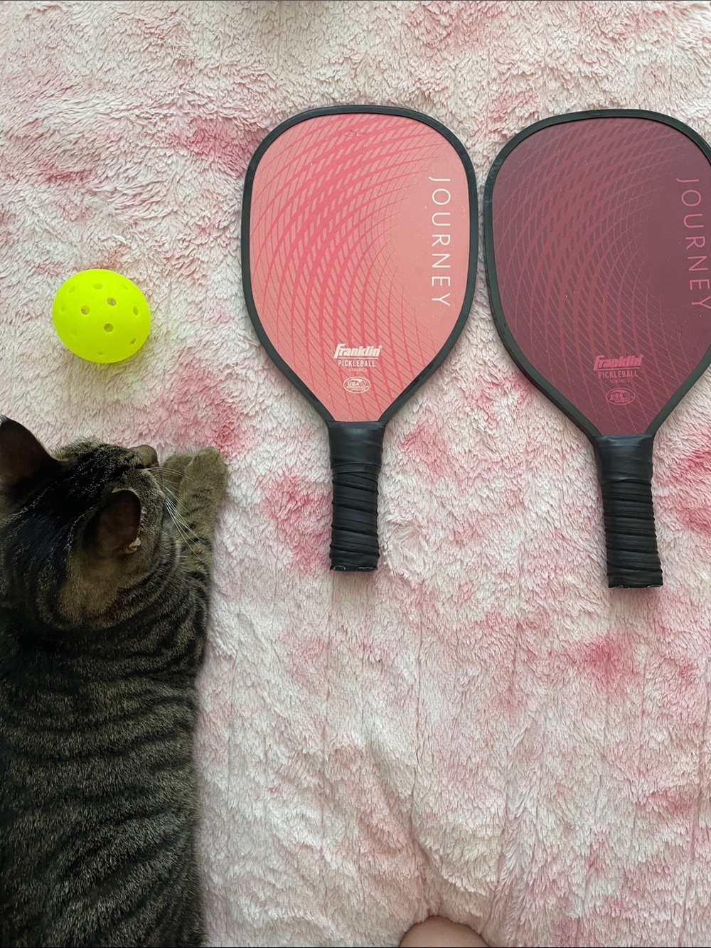 pickleball set